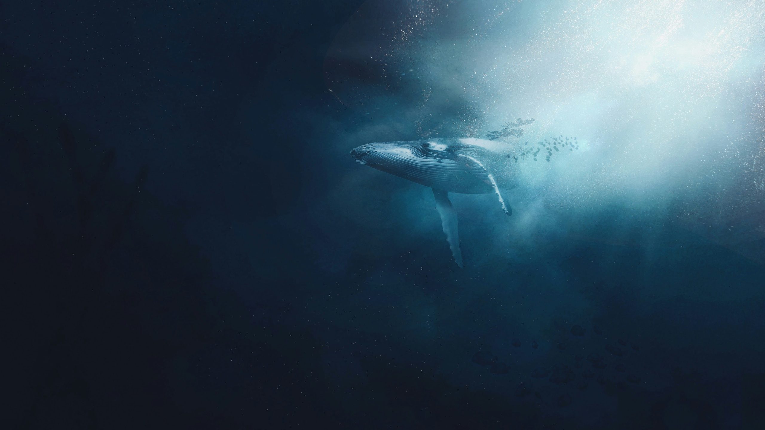 Don't think about a whale