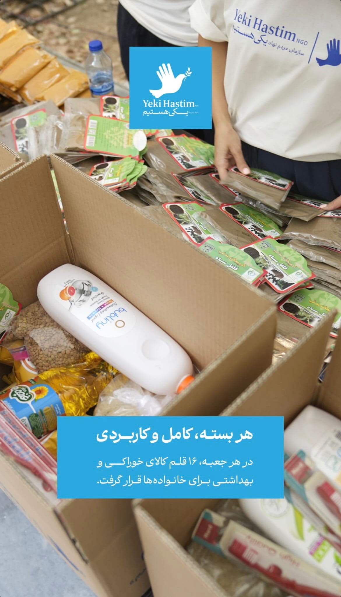 Sofrei Ba To Rang Migirad 7, Yeki Hastim NGO - Image 4